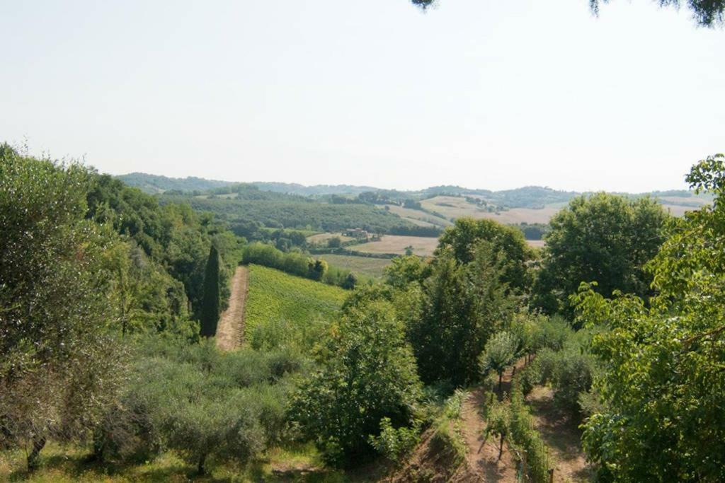 Stunning Country House Overlooking Tuscany Hills Lorenzana Eksteriør bilde